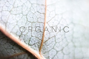 Organic | 20 Botanical Photos, a Nature Photo by Melanie Helena (Thumbnail 7 of 20)
