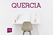 Quercia | Logo Stencil Slab Font, a Slab Serif Font by Craft Graphic Type (Thumbnail 4 of 9)