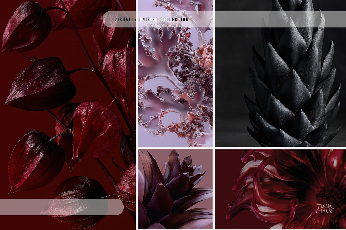 Dark Floral & Mineral Stock Photos, a Nature Photo by Tale.Haus (Photo 11 of 17)