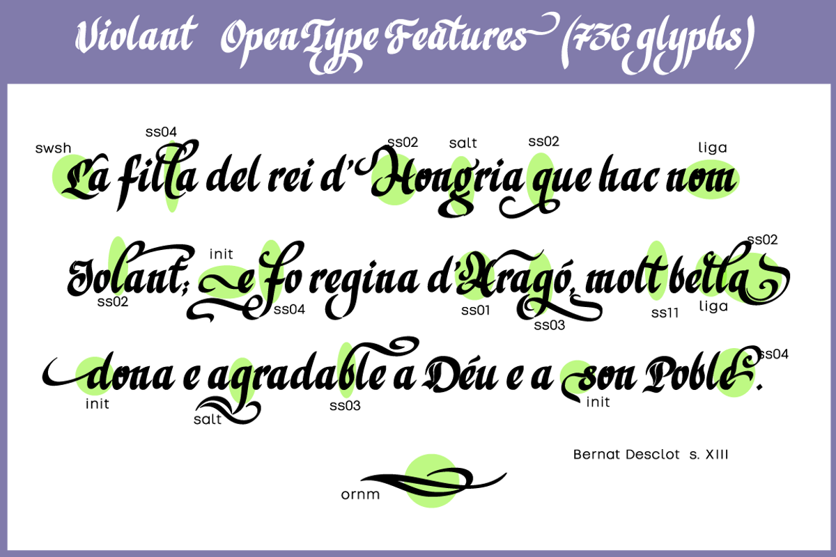Violant Italic preview 3