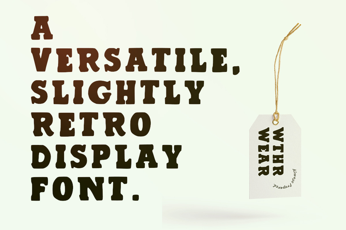 Pine Crest Rustic Serif Font preview 2