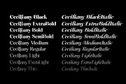 Ceciliany Serif Font Family, a Serif Font by Ryul Davidson (Thumbnail 8 of 25)