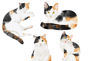 Watercolor Cat & Dog Illustration, an Animal Illustration by ArtbyHien (Thumbnail 3 of 7)