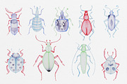 Pastel Bugs, a Pattern Graphic by Petite Salade (Thumbnail 4 of 4)