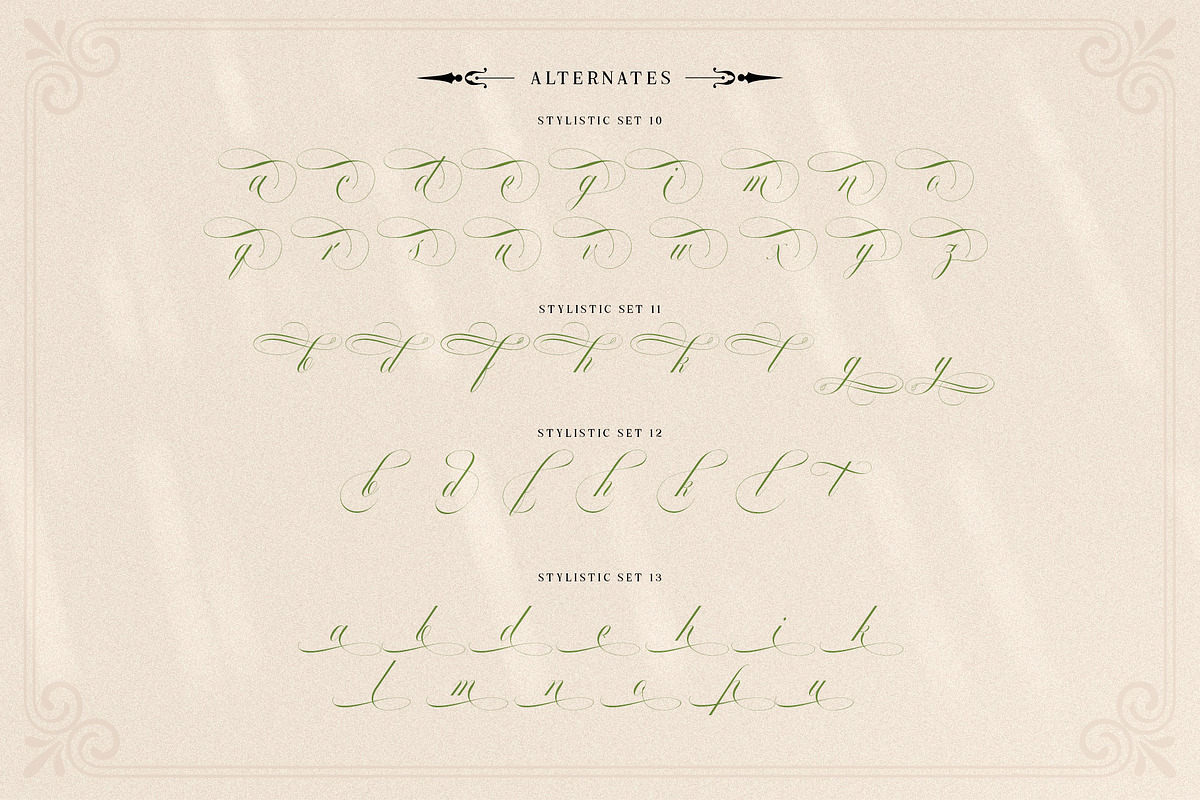 Mollani Nature Script, a Script Font by alit design (Photo 13 of 20)