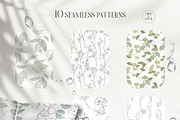 PLANTS & HERBS illustrations set, a Healthcare Illustration by Yuliia Lashevska (Thumbnail 13 of 14)
