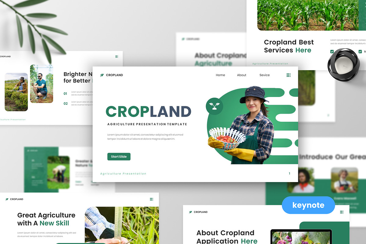 Cropland - Agriculture Keynote, a Presentation Template by MtvtdArt (Photo 1 of 6)