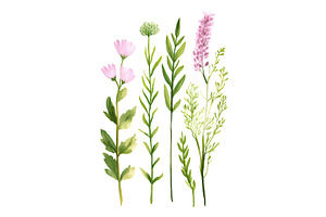 Variety of green and pink botanical, an Object Illustration by Lermont51
