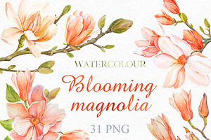 Watercolor Coral Magnolia