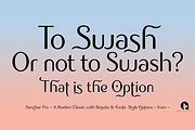 Sanzibar Pro, a Sans Serif Font by ArtyType (Thumbnail 7 of 7)