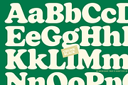 Chunk Black Retro Serif, a Serif Font by Fenotype (Thumbnail 2 of 17)