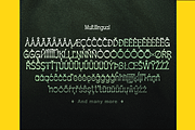 Apagah Reverse, a Serif Font by Differentialtype (Thumbnail 10 of 10)