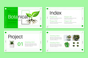 Botanical Presentation Layout, a Presentation Template by ContestDesign (Thumbnail 2 of 5)