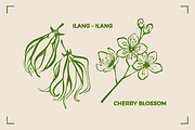 AROMATHERAPY (26 illustrations), a Healthcare Illustration by Bonfloret Studio (Thumbnail 10 of 11)