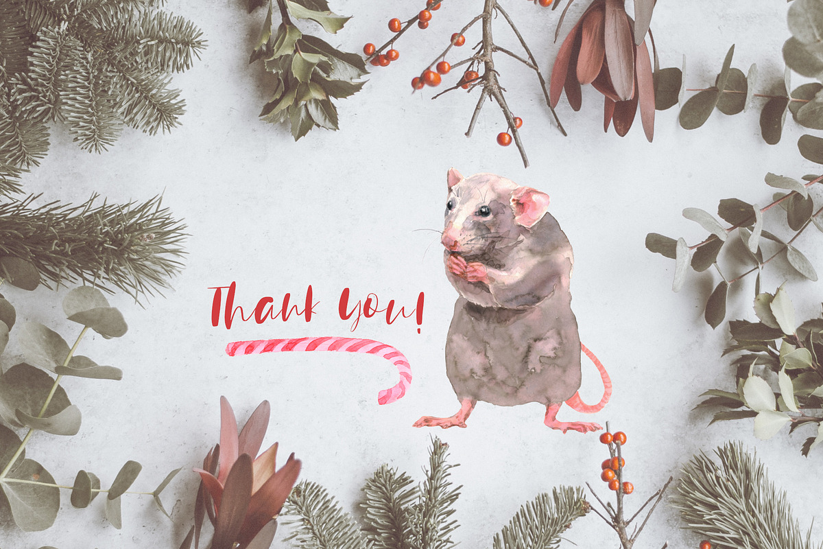 Mini Rats Watercolor Collection, an Illustration by Cat In Colour (Photo 10 of 10)