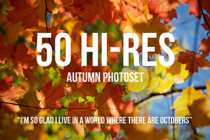 Autumn Photoset 50 Images