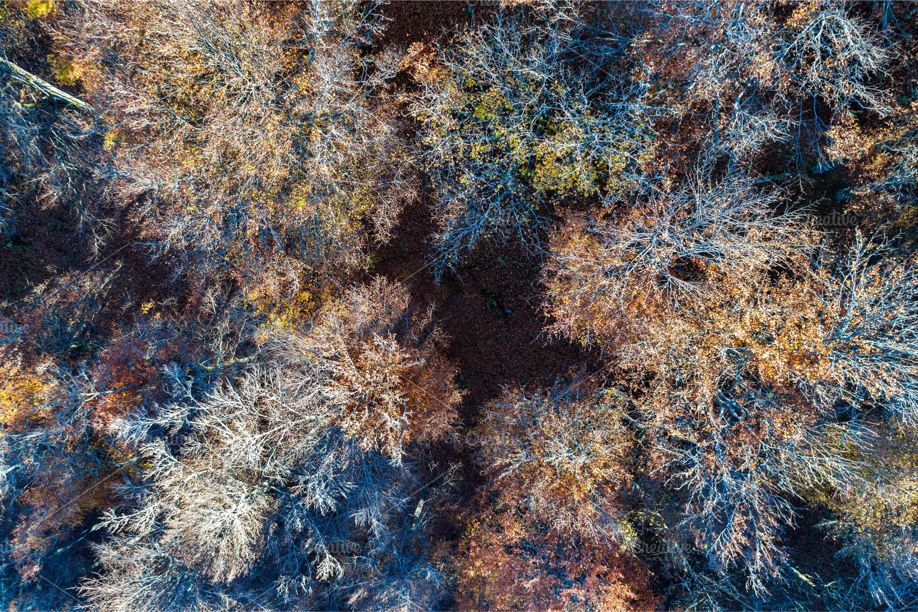 Aerial view of trees in the vosges mountains in autumn stock photo containing, a Nature Photo by Leonid Andronov