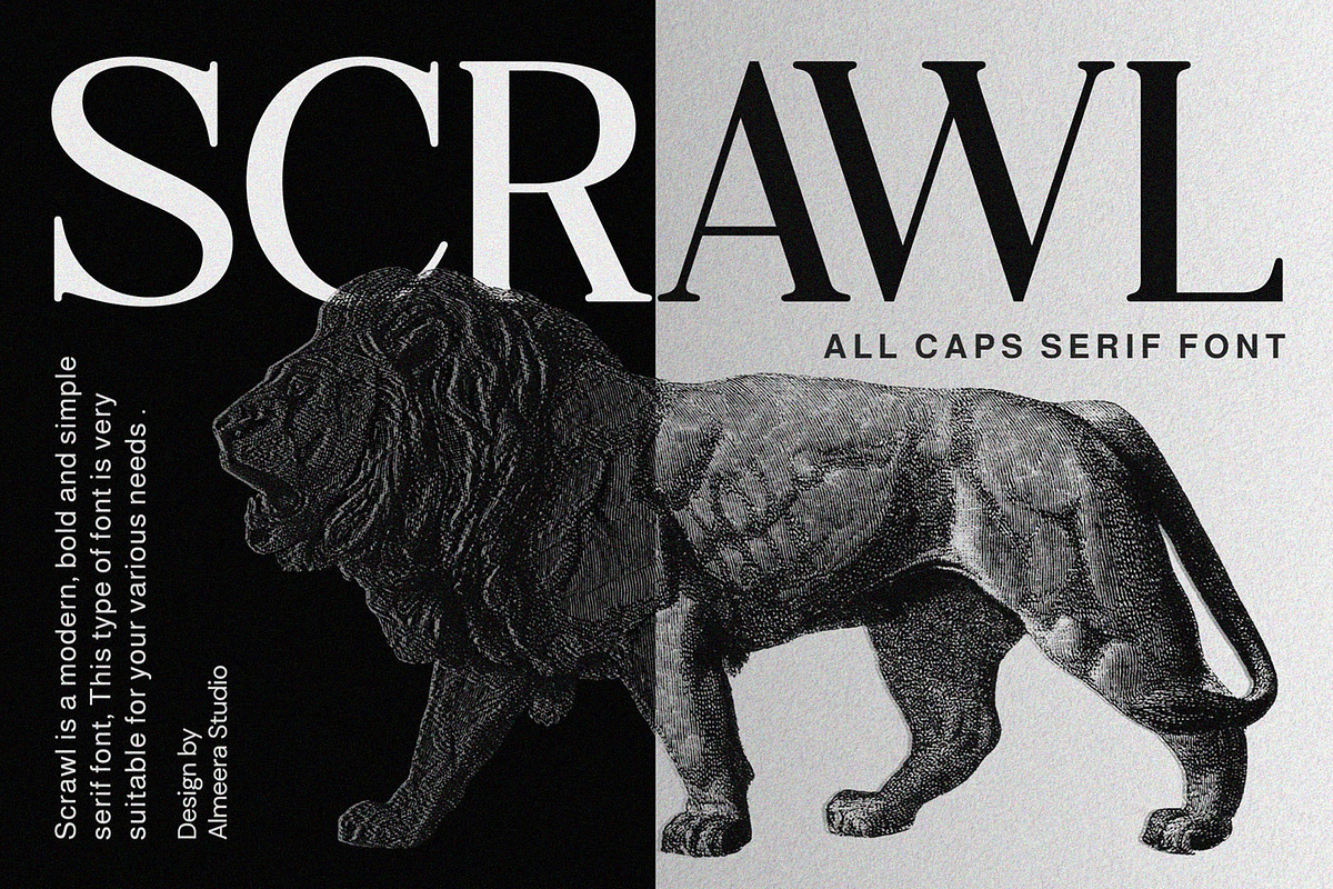 Scrawl - All caps serif font, a Serif Font by Almeera Std (Photo 1 of 5)