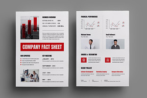 Business Company Fact Sheet Template, a Stationery Template by MightyDesign