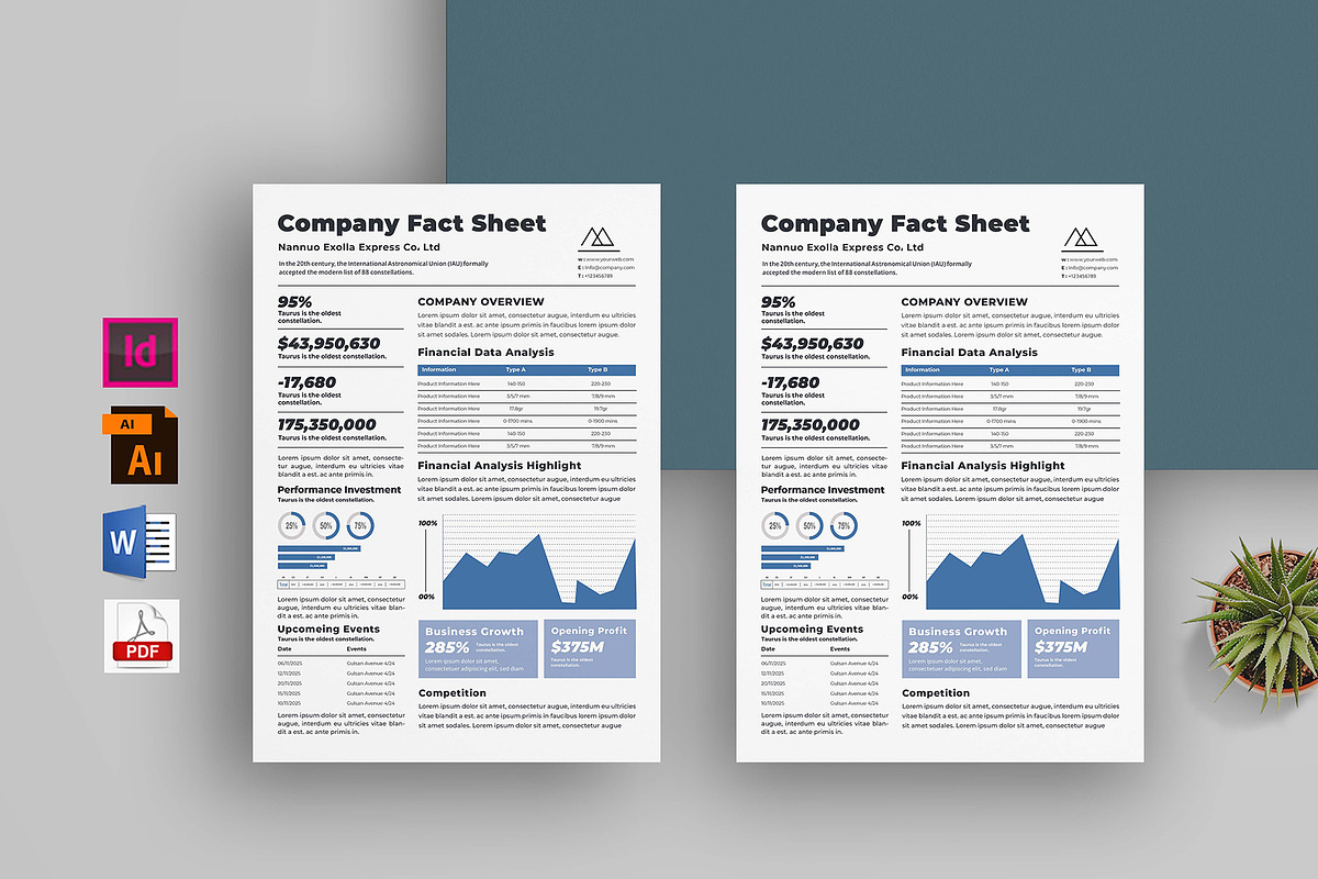Company Fact Sheet | Word & Indesign, a Flyer Template by obayes (Photo 1 of 3)