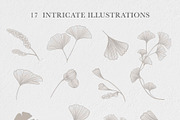 Ginkgo Botanicals - Florals & Leaves, an Illustration by Momo Studio (Thumbnail 5 of 13)