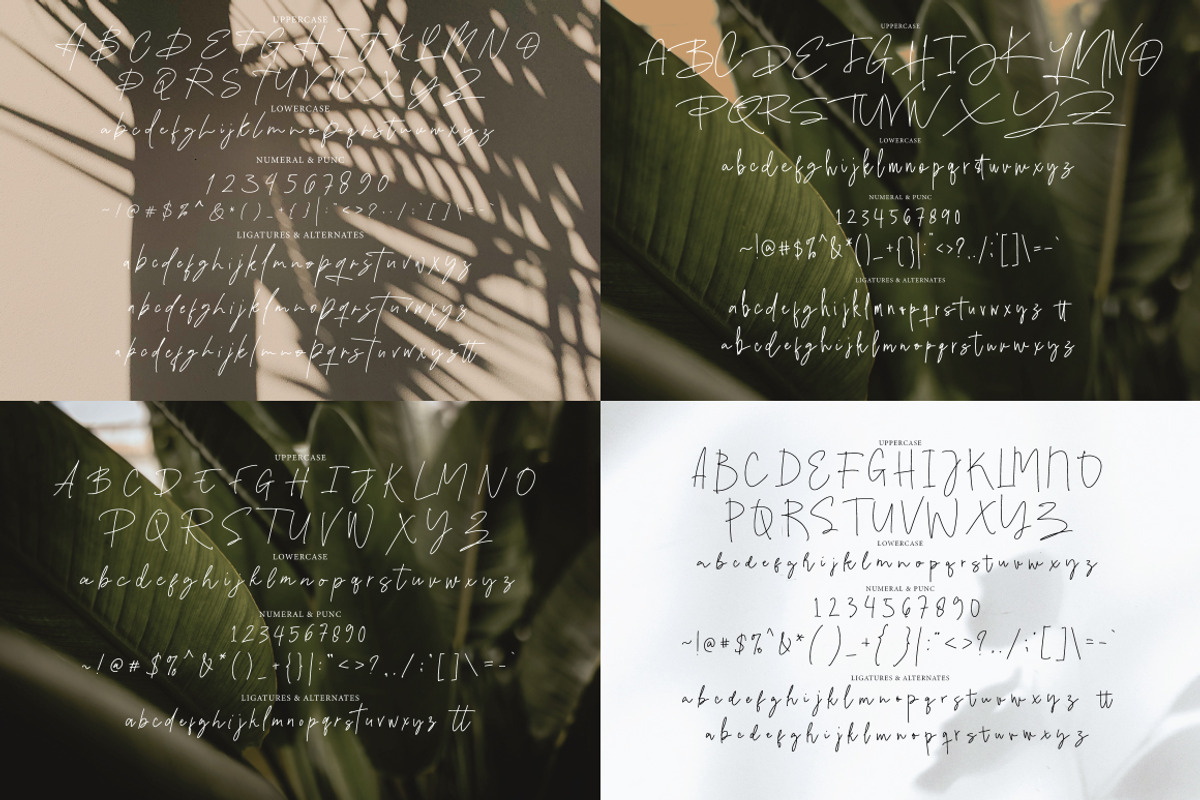 Casual Signature Font Bundles, a Handwritten Font by tebaltipislab (Photo 26 of 46)