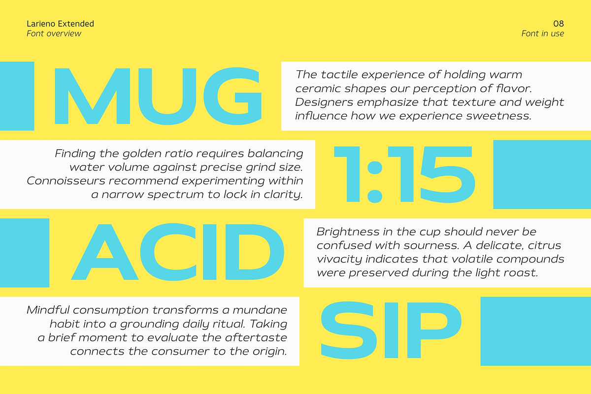 Larieno Extended, a Sans Serif Font by Zafara Studios (Photo 8 of 12)