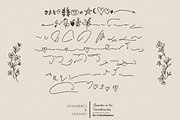 Aleandra on the Soundwaves Font, a Handwritten Font by Letterhanna Studio (Thumbnail 3 of 10)