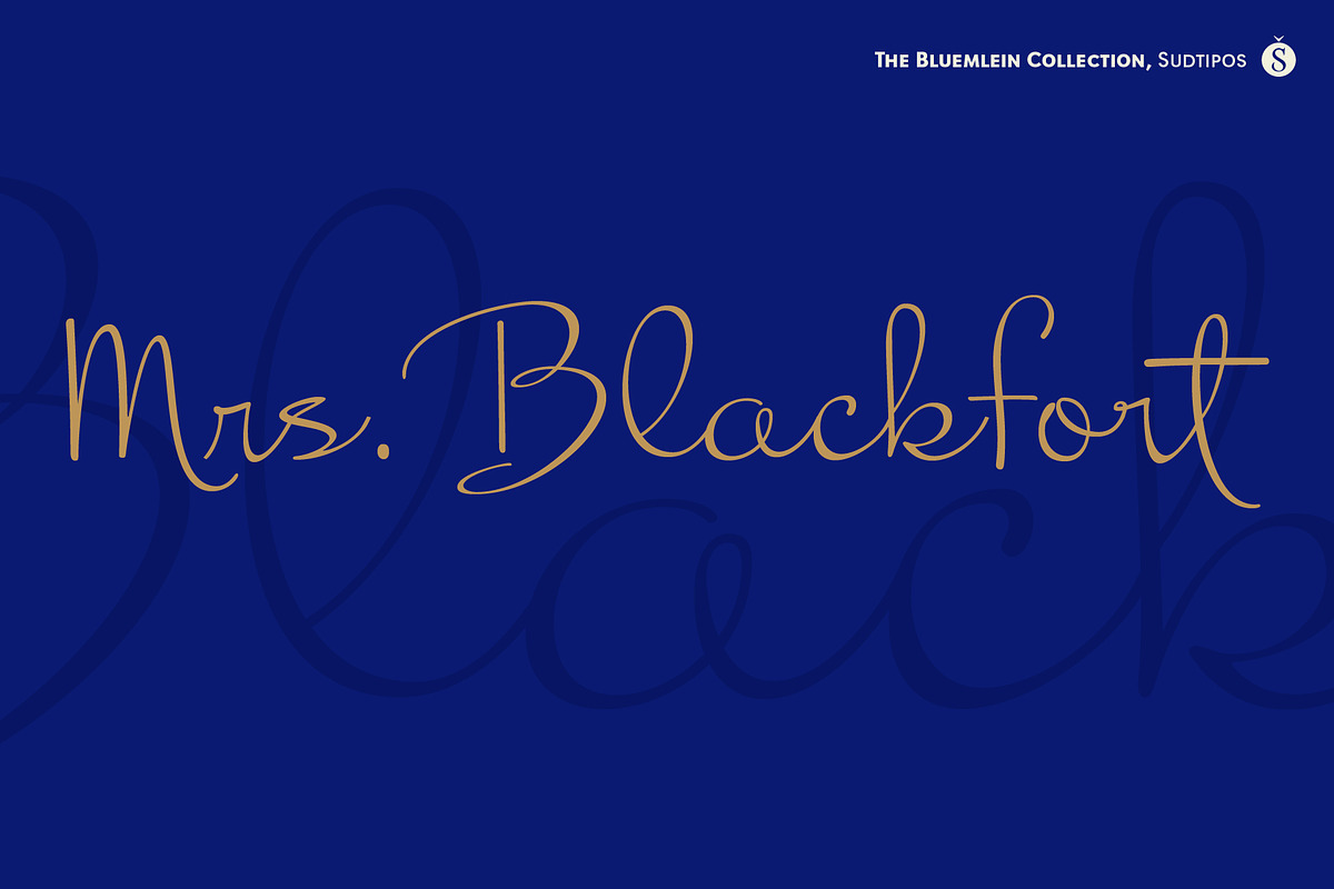 Mrs Blackfort Pro