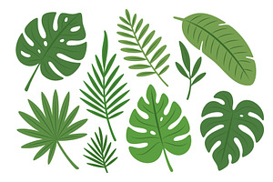 Tropical leaves set. Monstera, palm, an Illustration by GraphiShop