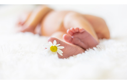 Newborn baby feet with chamomile, a Person Photo by yanadjana
