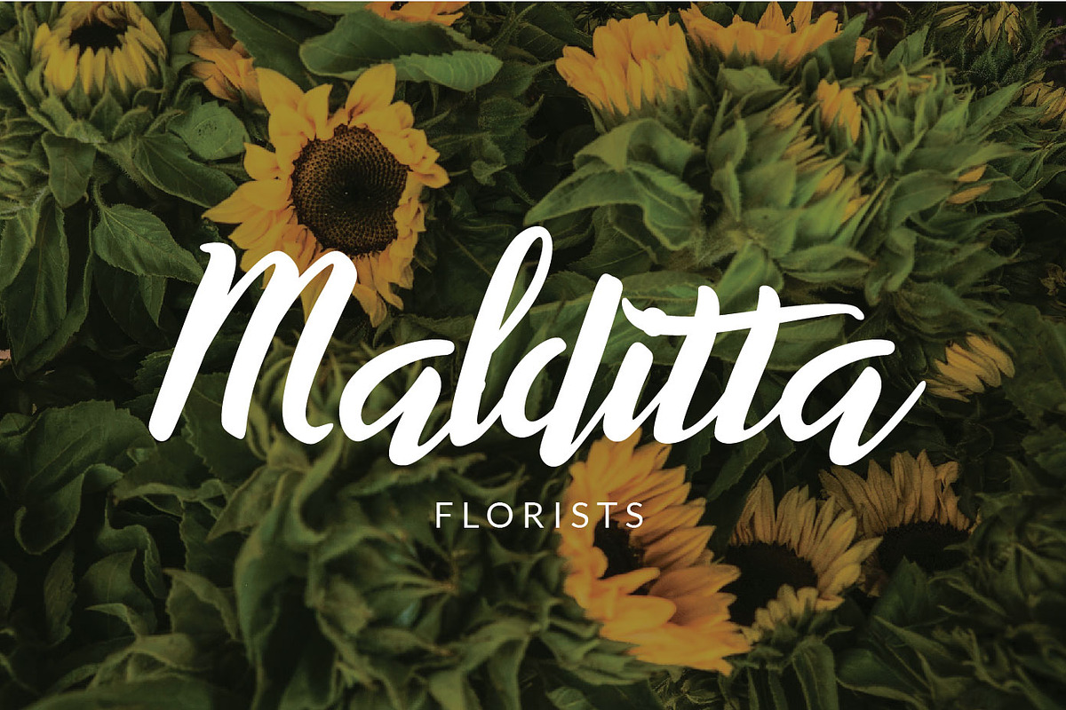 Willynta Script, a Script Font by Patria Ari (P4tcreativa) (Photo 5 of 13)