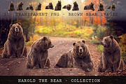 11 - Transparent PNG Bears, an Object Graphic by DareToDream (Thumbnail 1 of 2)