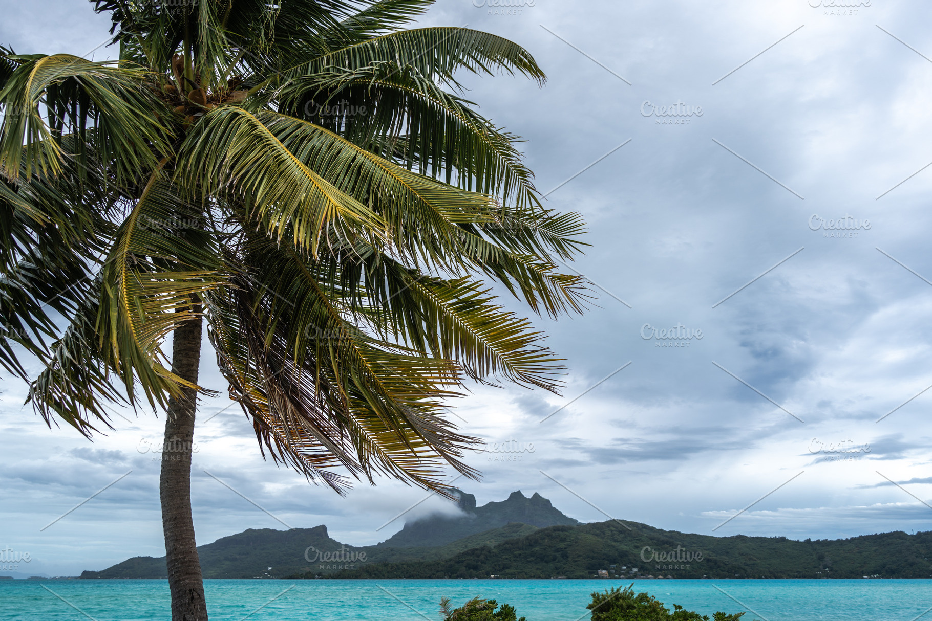 Bora Bora Island View from Palm Tree Beach in French Polynesia, a Nature Photo by GoodGoods