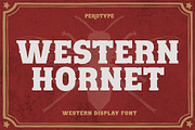 Western Hornet - Display Font, a Font by Pekotype (Thumbnail 1 of 14)