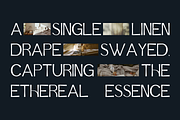 Aurlionex - Display Sans Family, a Sans Serif Font by Indotype Foundry (Thumbnail 7 of 10)
