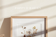 POPPY & BARLEY Autumn Wildflowers, a Seasonal Illustration by Muse Artist (Thumbnail 2 of 14)
