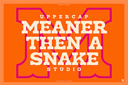 Rodeo Tunes - Western Slab Serif, a Slab Serif Font by UppercapType (Thumbnail 7 of 21)