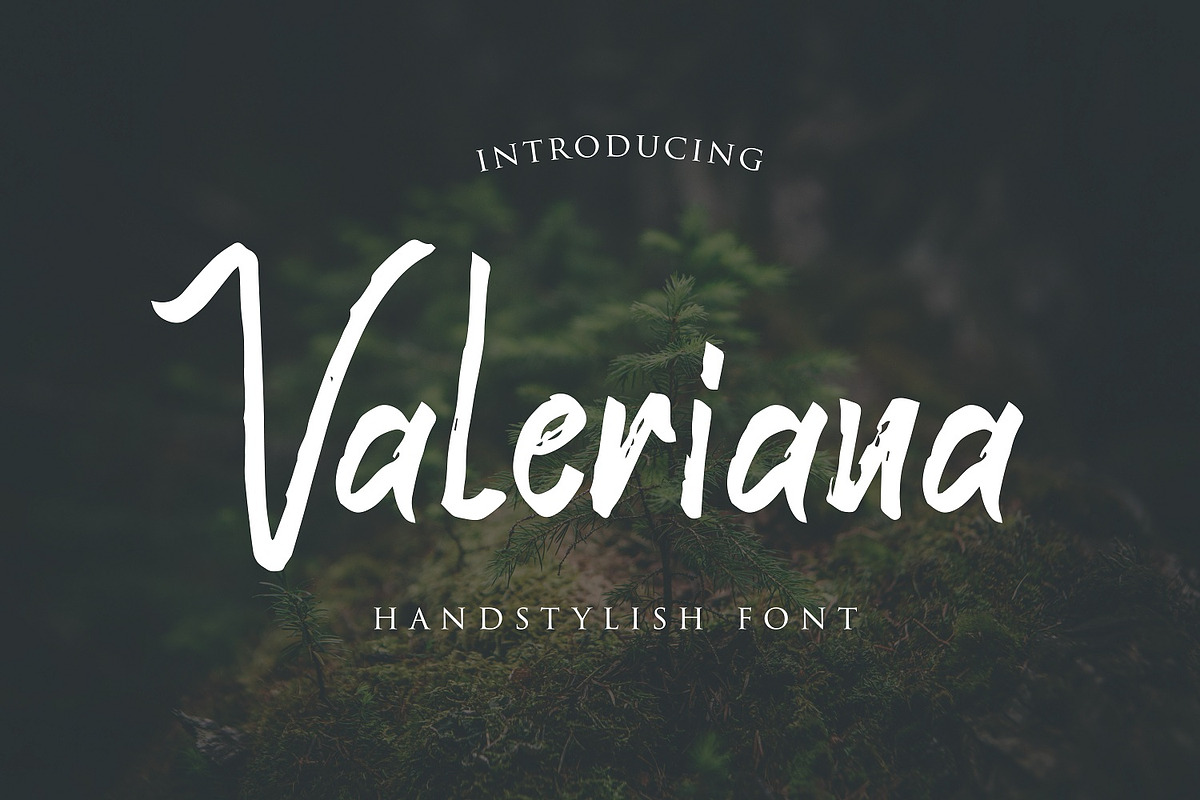 Valeriana Handstylish Font preview 7