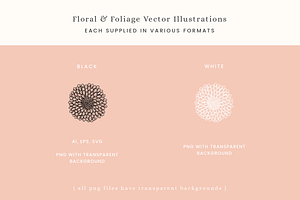 Bouquet Florals Vector Illustrations