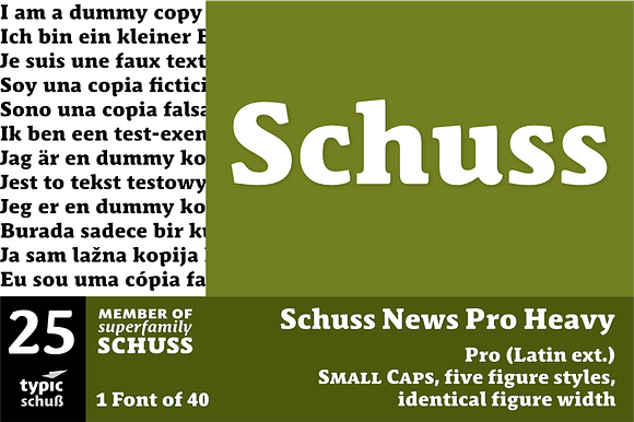 SchussNewsProHeavy No.25 (1 Font) preview 6