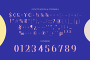 NCL Saigefy Cebahixa - Modern Serif, a Serif Font by Enxyclo Studio (Thumbnail 10 of 10)