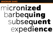 Magnum Sans, a Sans Serif Font by FontMesa (Thumbnail 4 of 5)