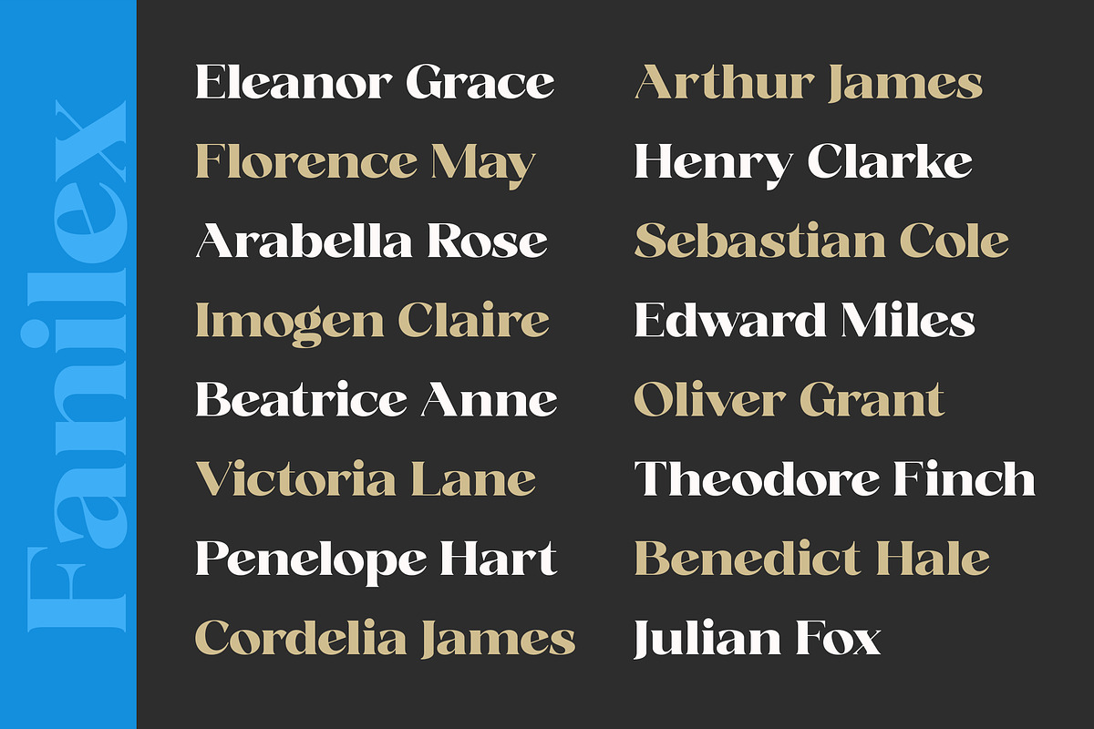 Fanilex, a Serif Font by Propertype (Photo 6 of 16)