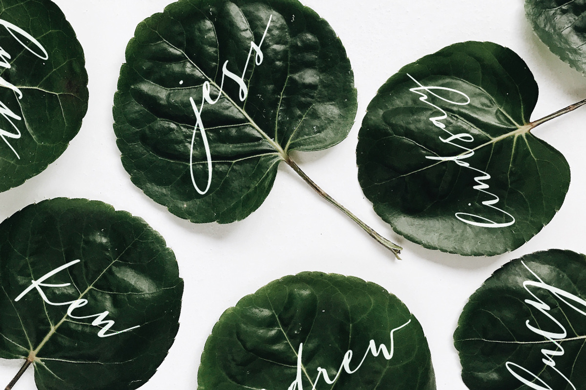 San Clemente | A Carefree Script preview 4