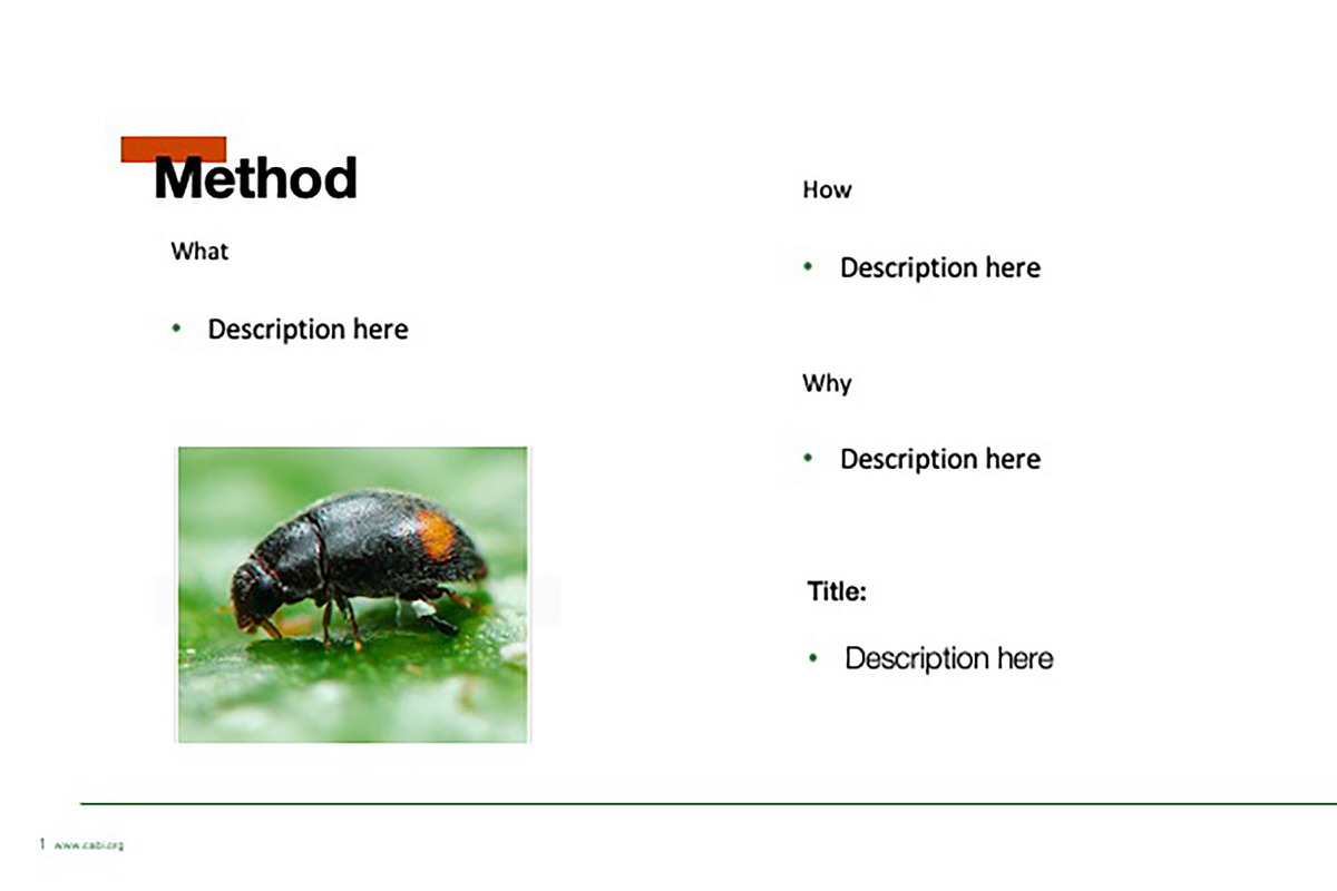 Colorful Template For Any Use, a Templates & Theme by Iconography - Pitch Deck (Photo 20 of 36)