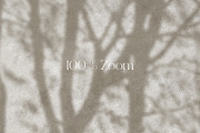 Shadows – wall mural collection, a Wallpaper Graphic by Timofi Art (Thumbnail 9 of 17)
