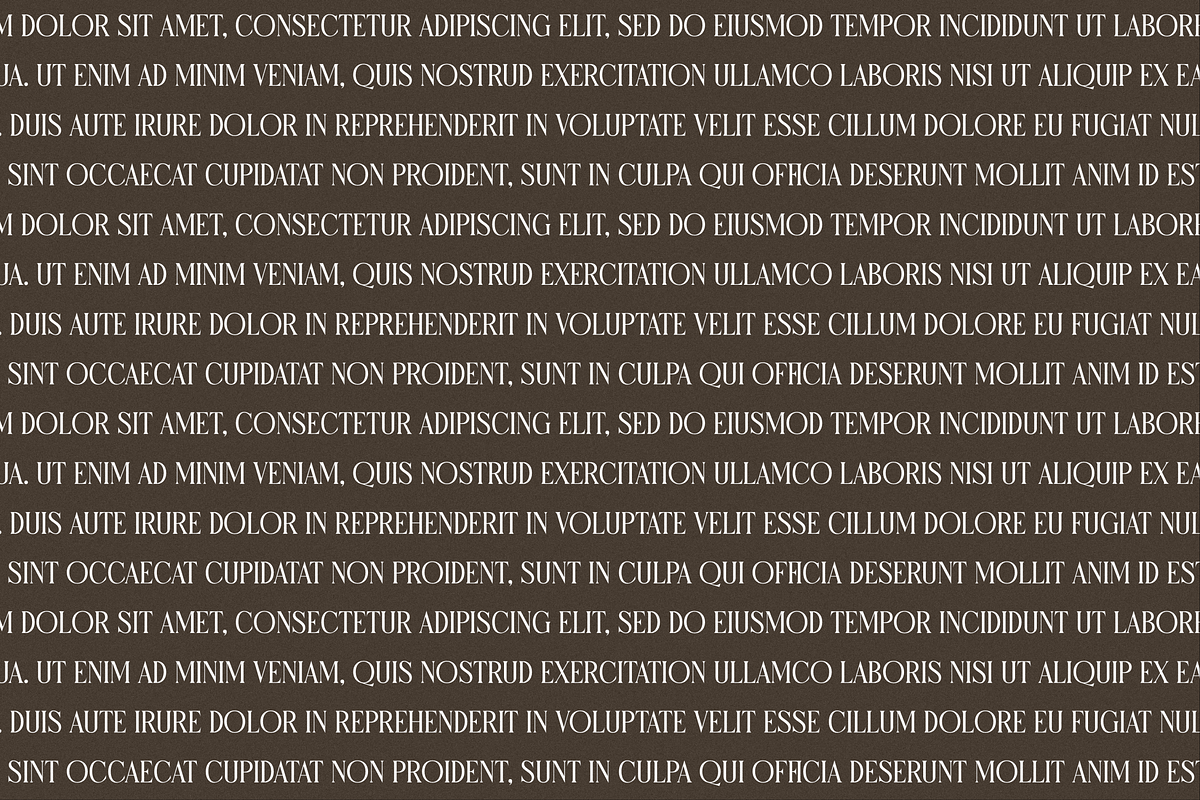 Micksenav Display Serif Font, a Serif Font by Storytype Studio (Photo 3 of 15)