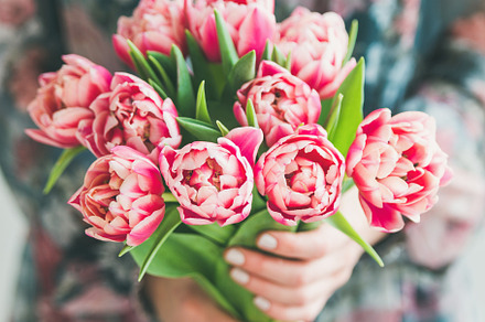 Woman holding bouquet containing flower, tulip, and blossom, a Beauty & Fashion Photo by Foxys