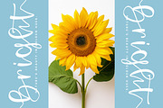 Tasty Snack, a Handwritten Font by Integritype Studio (Thumbnail 10 of 15)